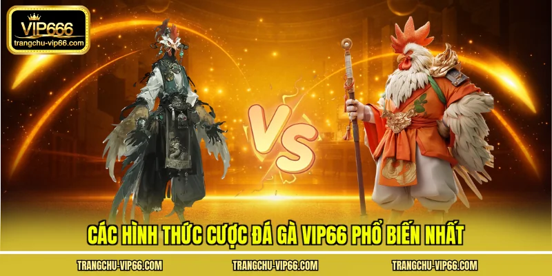 Các hình thức cược đá gà VIP66 phổ biến nhất