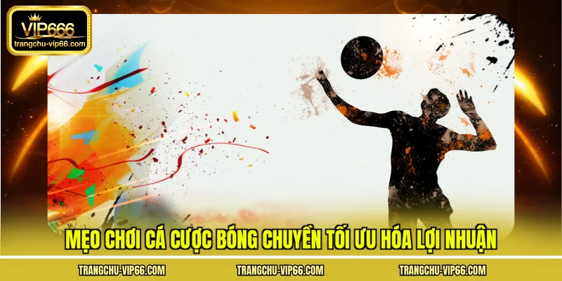 Mẹo chơi cá cược bóng chuyền tối ưu hóa lợi nhuận