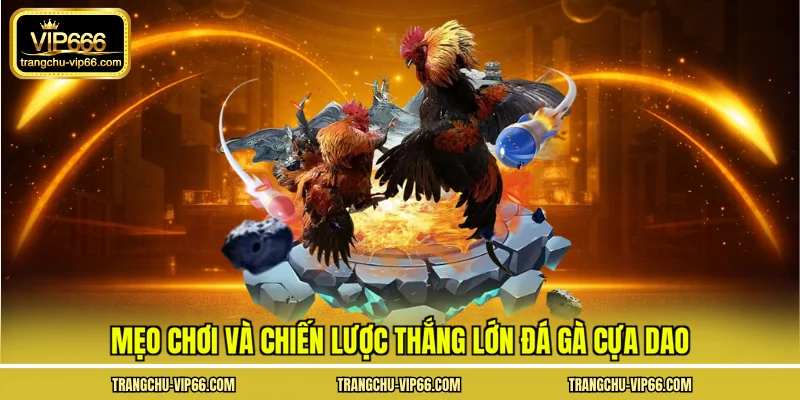 Mẹo chơi và chiến lược thắng lớn đá gà cựa dao