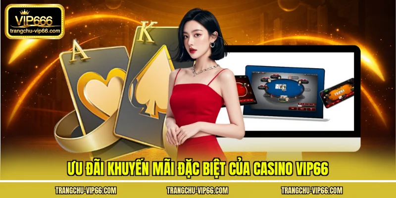 Ưu đãi khuyến mãi đặc biệt của casino VIP66